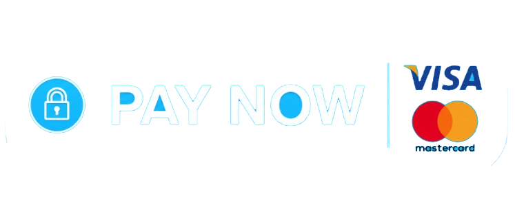 Pay Now — Visa and Mastercard